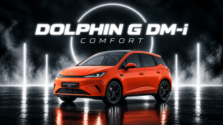 BYD DOLPHIN G