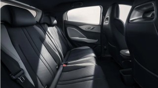 BYD DOLPHIN SURF