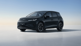 BYD DOLPHIN G