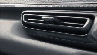 BYD DOLPHIN SURF