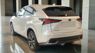LEXUS NX 300h