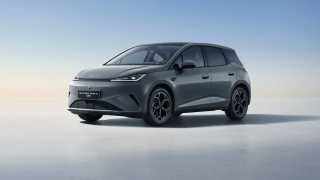 BYD DOLPHIN G