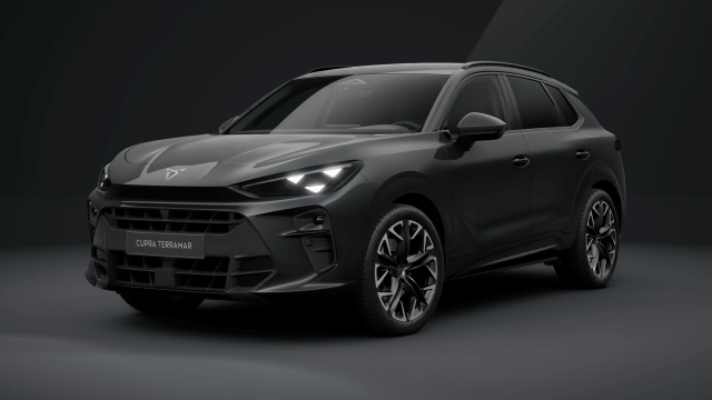 Cupra TERRAMAR