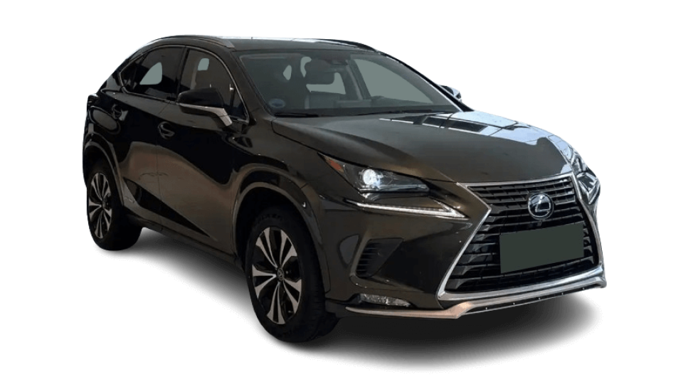 LEXUS NX 300h